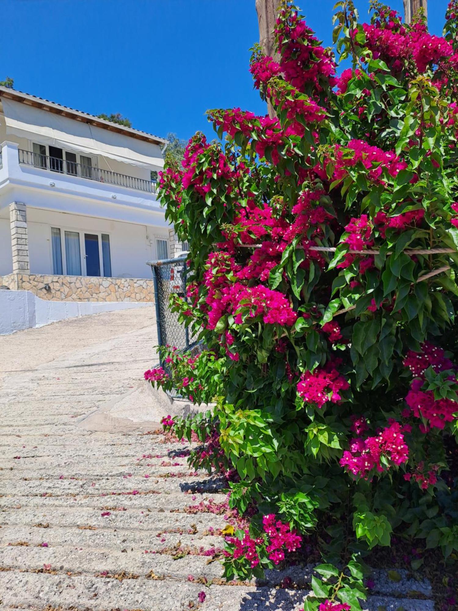 Appartement Bougainvillea Corfu  외부 사진