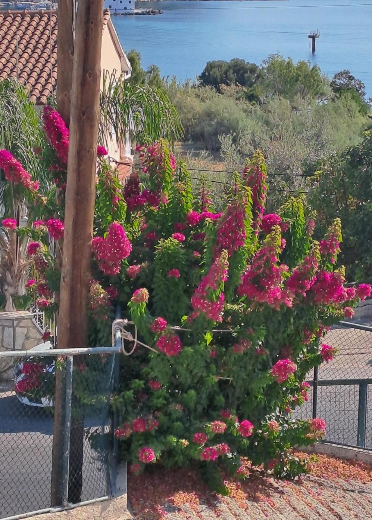 Appartement Bougainvillea Corfu  외부 사진